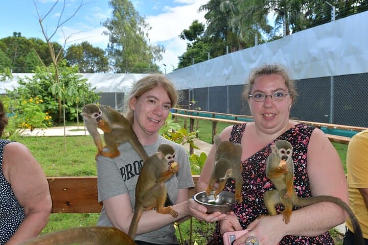 Monkey Interaction and Damajagua Waterfalls: Puerto Plata Day Adventure photo 2