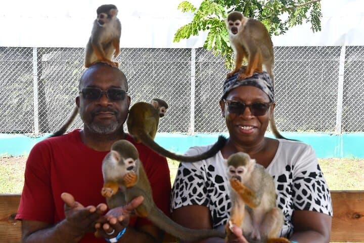 Monkey Interaction and Damajagua Waterfalls: Puerto Plata Day Adventure photo 6