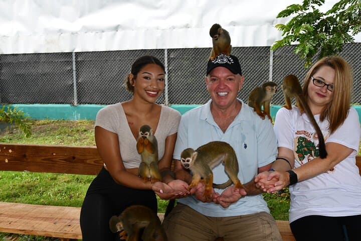 Monkey Interaction and Damajagua Waterfalls: Puerto Plata Day Adventure photo 4