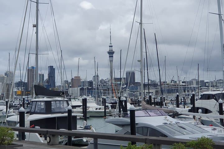 Auckland Highlights Full-Day Guided Tour: Westhaven, Mt Eden & Piha Beach photo 3