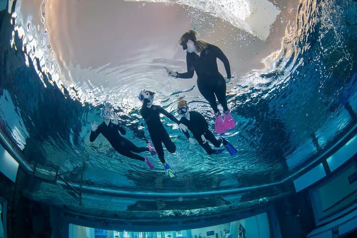 Deep Dive Dubai: Explore the World’s Deepest Pool and Indoor Scuba Experience photo 2