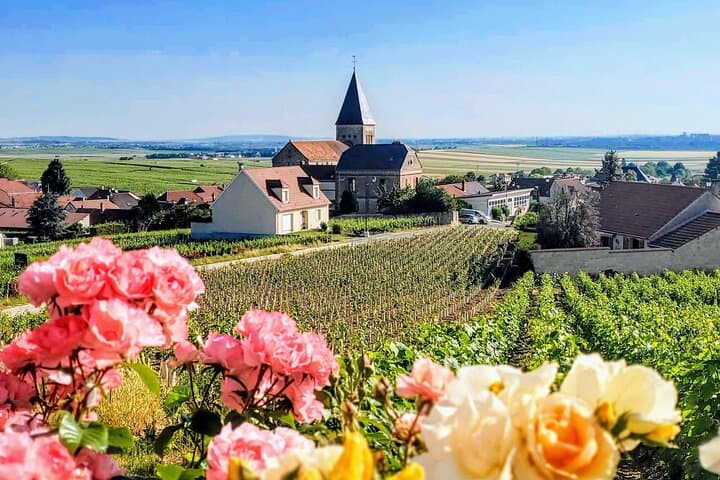 Ruinart Champagne Tasting & Private Reims Tour — Cellars, Cathedral, Grower Visit photo 4