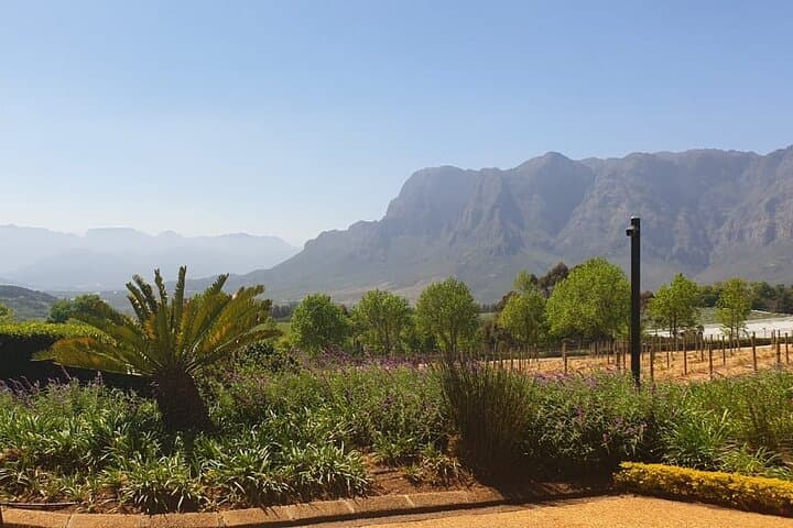 Private Wine Tour: Cape Winelands from Cape Town to Stellenbosch