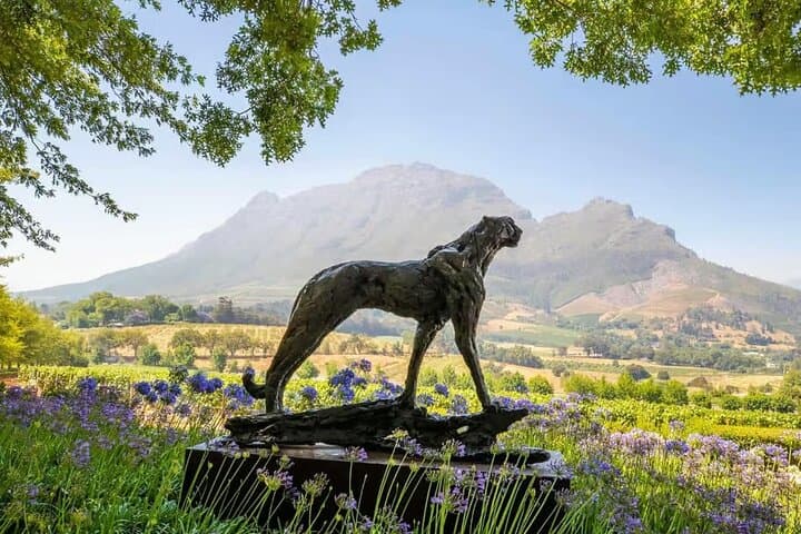 Full-Day Winelands Tour from Cape Town: Stellenbosch & Franschhoek Wine Tasting