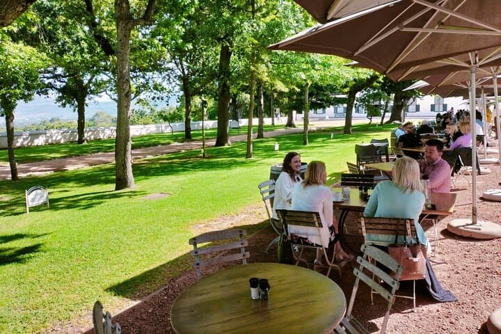 Private Cape Town City Tour: Table Mountain, Kirstenbosch & Wine Tasting photo 2