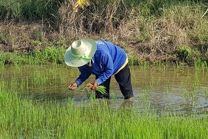 Sukhothai Countryside Cycling & Cultural Day Tour photo 6