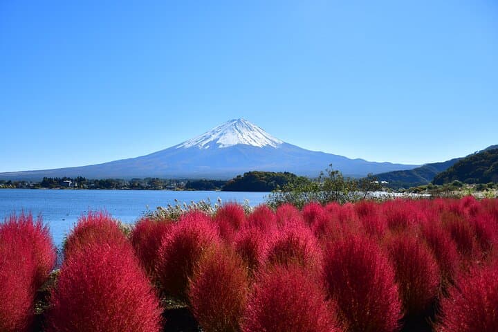 One-Day Private Van to Mt Fuji: Kawaguchi, Oshino Hakkai & Onsen photo 4