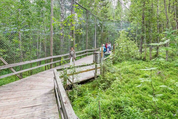 Ranua Wildlife Park Day Trip from Rovaniemi — Insider Guided Tour photo 4