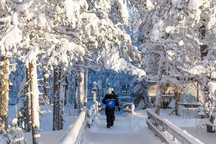 Ranua Wildlife Park Day Trip from Rovaniemi — Insider Guided Tour photo 5