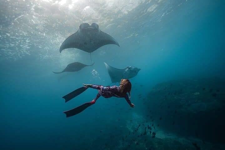 Manta Point Freediving: Snorkel with Manta Rays Off Nusa Penida photo 3