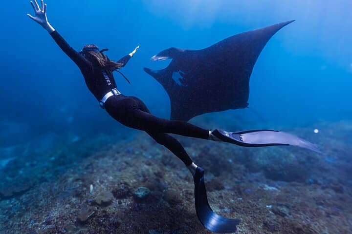 Manta Point Freediving: Snorkel with Manta Rays Off Nusa Penida photo 4