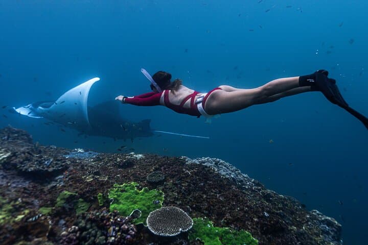 Manta Point Freediving: Snorkel with Manta Rays Off Nusa Penida photo 2