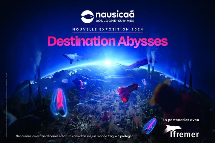 Nausicaá Aquarium Entrance Ticket — Explore Europe’s Largest Marine Centre in Boulogne-sur-Mer photo 2