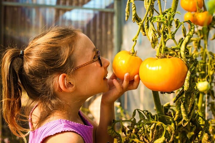 Extraordinary Garden La Roche-sur-Yon: Explore 1,000+ Rare Food Plants in Vendée photo 6