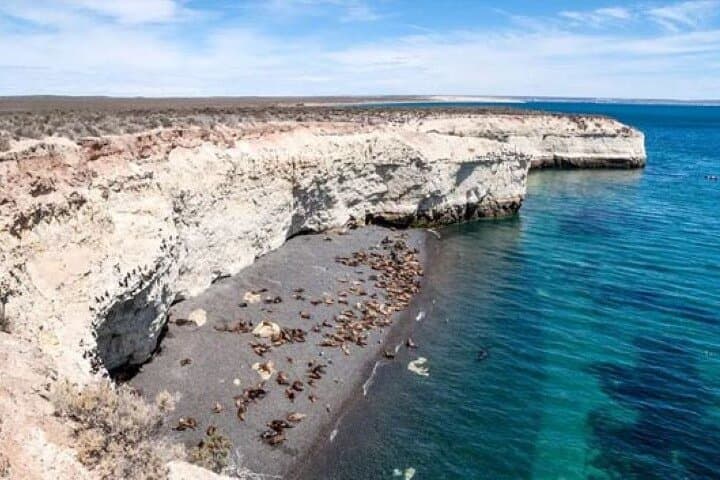 Punta Loma Sea Lions Cruise & Puerto Madryn City Tour — Shore Excursion Guide
