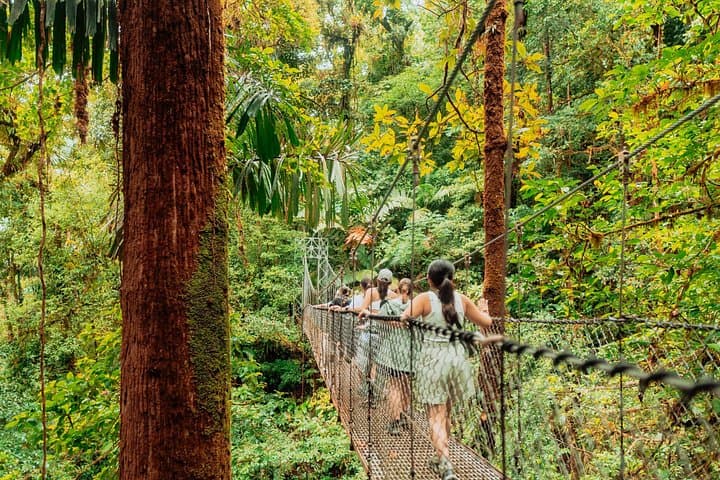 Arenal Highlights Full-Day: Volcano Hike, Hanging Bridges & La Fortuna Waterfall photo 3