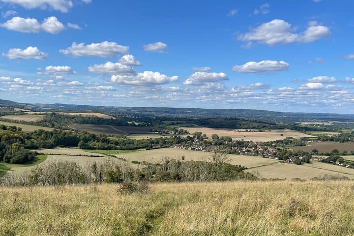 South Downs to Brighton: Private Luxury Day Tour from London photo 6