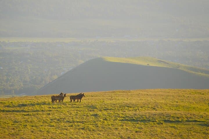 Sunset Ride to Terevaka: Horseback to Easter Island's Highest Point photo 2
