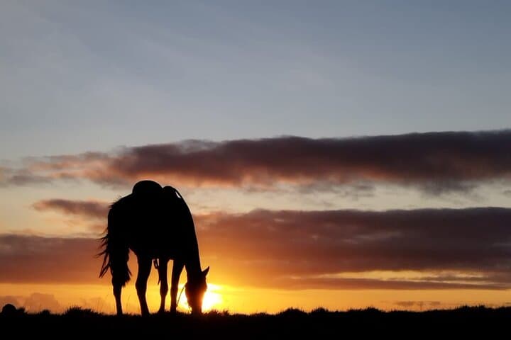 Sunset Ride to Terevaka: Horseback to Easter Island's Highest Point