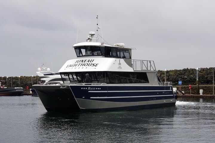 Juneau Whale Watching Cruise with Mendenhall Glacier Stop — Live-Narrated Marine Safari photo 5