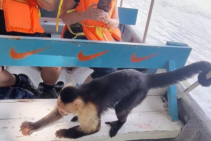 Private Panama Canal Ocean-to-Ocean Adventure: Gatun Lake, Locks & Wildlife photo 3