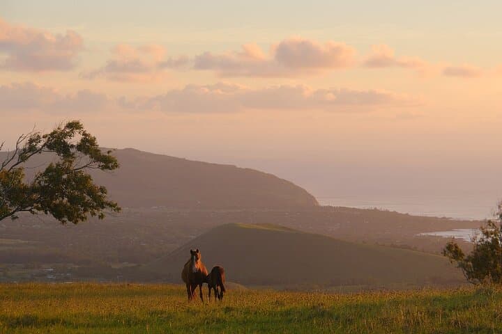 Sunset Ride to Terevaka: Horseback to Easter Island's Highest Point photo 3