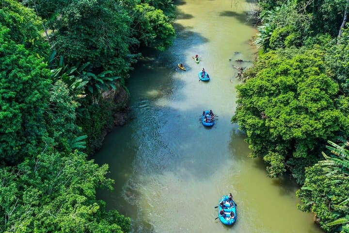 Peñas Blancas River Safari Float — Wildlife Cruise from La Fortuna