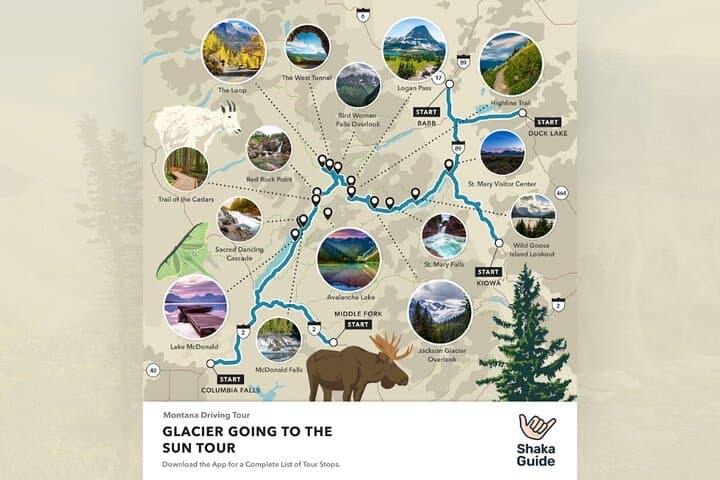Drive the Going-to-the-Sun Road: Glacier National Park Self-Guided Audio Tour photo 4