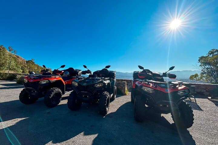 Palermo Quad Tour: Coastline to Monte Pellegrino with Cannoli Stops photo 2
