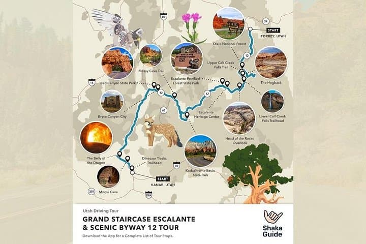 Drive Grand Staircase-Escalante and Scenic Byway 12: Self-Guided Audio Road Trip photo 3