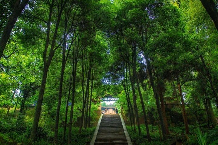 6-Day Dujiangyan and Qingcheng Mountain Tour with Chengdu Panda Base photo 5
