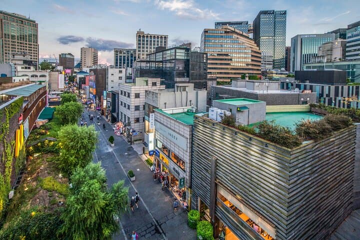 Seoul Heritage and Modernity: One-Day Cultural Highlights Tour photo 4