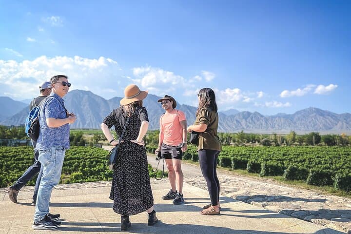 3-Day Wine Tasting Tour of Ningxia's Helan Mountain Wineries photo 6