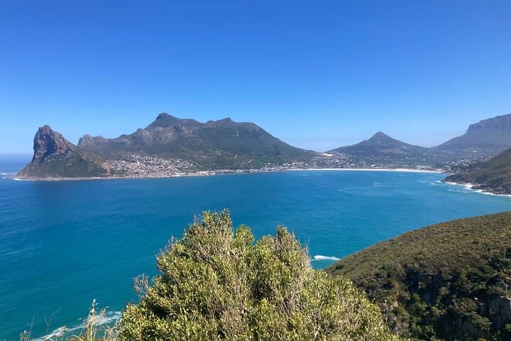 Cape Peninsula Day Trip: Cape of Good Hope, Chapman's Peak & Boulders Beach Penguins