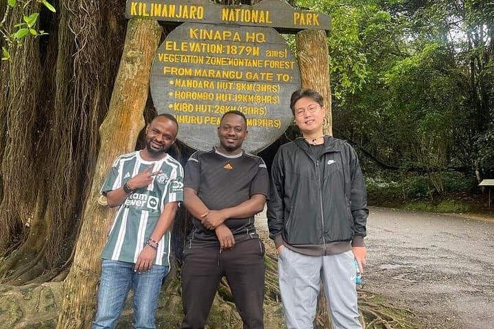 Private Day Hike to Kilimanjaro’s Mandara Hut — Marangu Route Experience