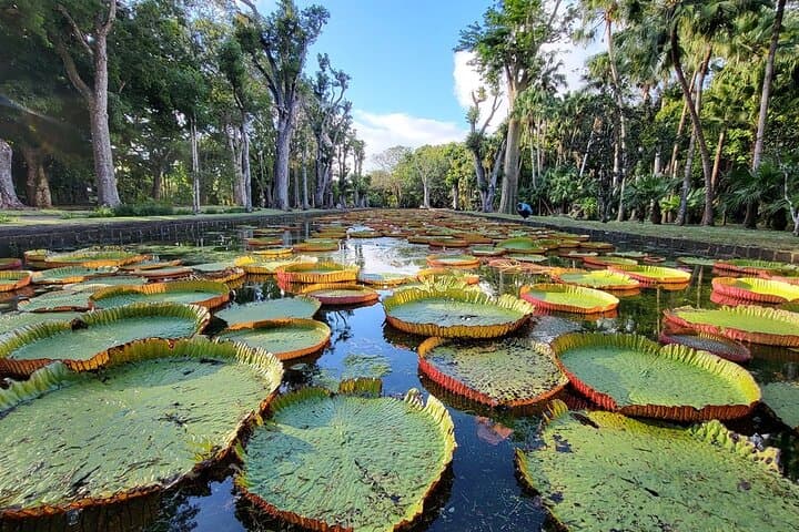 North Mauritius Highlights: Private Full-Day Cultural & Coastal Tour photo 2