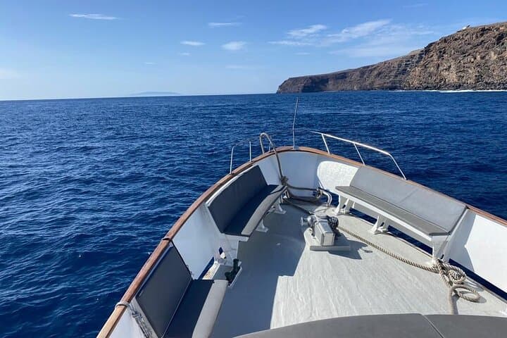 Vintage-boat whale watching from Playa Santiago, La Gomera photo 6