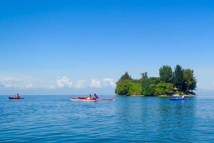 2-Day Gorilla Tracking in Rwanda and Lake Kivu Adventure photo 2