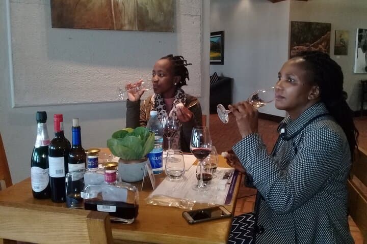 Cape Town Full Day Wine Expedition: Constantia Valley Wine Tour