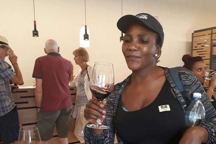 Cape Town Full Day Wine Expedition: Constantia Valley Wine Tour photo 3
