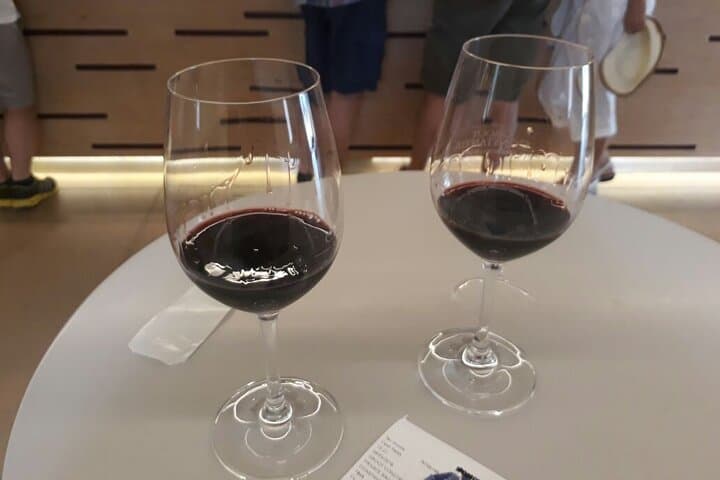 Cape Town Full Day Wine Expedition: Constantia Valley Wine Tour photo 4