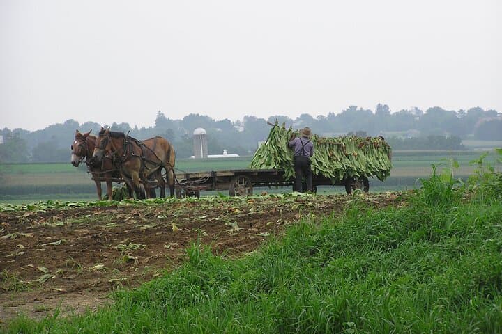 Amish Farmlands Tour: Guided Minibus Through Lancaster's Plain Country photo 2