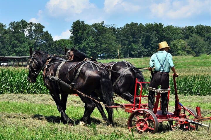 Amish Farmlands Tour: Guided Minibus Through Lancaster's Plain Country photo 3