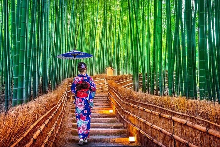 Custom Kyoto Day Tour: Private Guided Itinerary with Vehicle photo 6