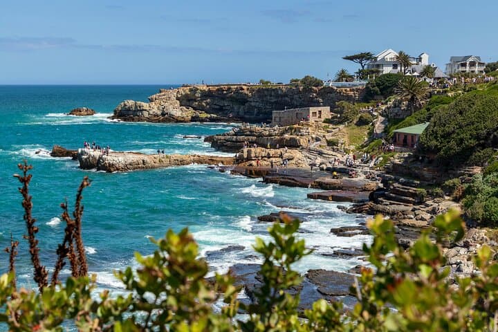 Hermanus Whale Watching & Cape Winelands Day Tour from Cape Town photo 6