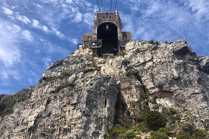 India Venster on Table Mountain: Half-Day Scramble to Maclear's Beacon