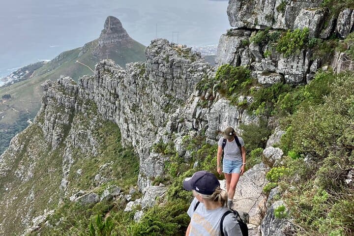 India Venster on Table Mountain: Half-Day Scramble to Maclear's Beacon photo 2