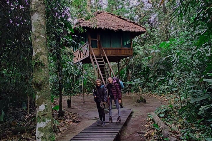 6-Day Manu Rainforest Tour: Amazon Wildlife & River Expedition from Cusco photo 2