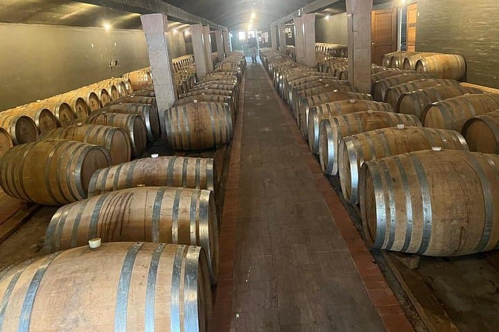 Full-Day Cape Winelands Wine Tour: Stellenbosch, Franschhoek & Paarl photo 4