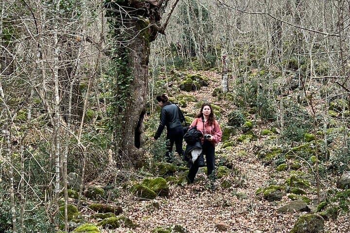 Forest of Lamone: Etruscan Tombs, Brigands and Charcoal Traditions photo 5